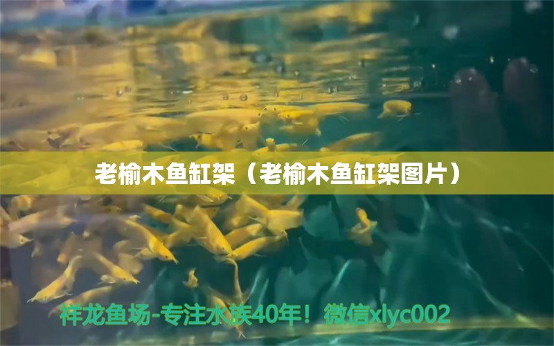 老榆木鱼缸架（老榆木鱼缸架图片）