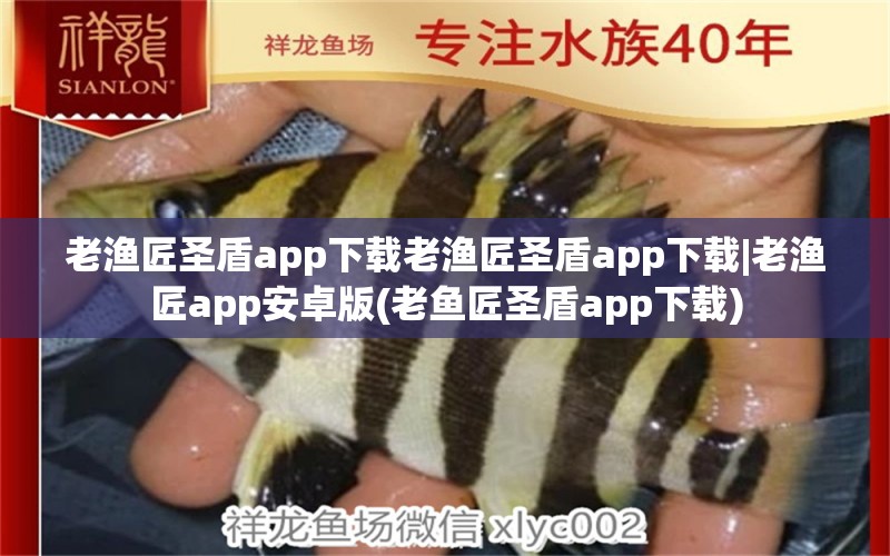 老渔匠圣盾app下载老渔匠圣盾app下载|老渔匠app安卓版(老鱼匠圣盾app下载)