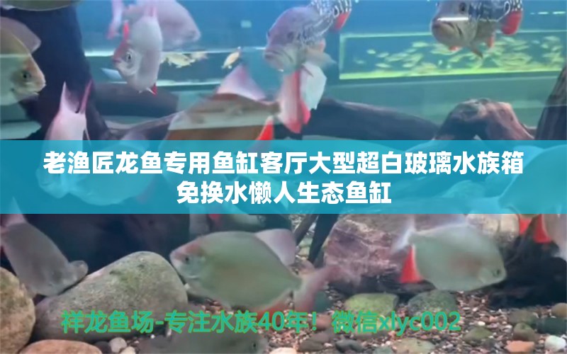 老渔匠龙鱼专用鱼缸客厅大型超白玻璃水族箱免换水懒人生态鱼缸