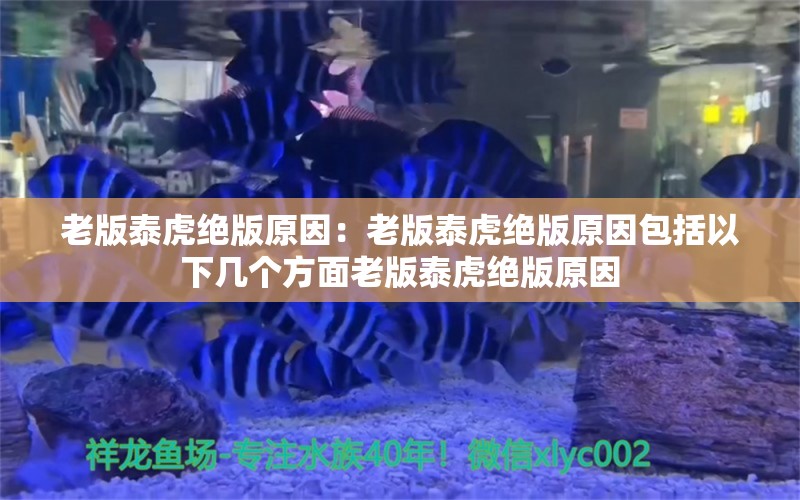 老版泰虎绝版原因：老版泰虎绝版原因包括以下几个方面老版泰虎绝版原因 虎鱼百科 第2张