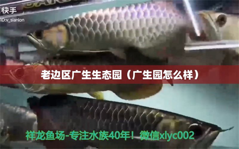 老边区广生生态园（广生园怎么样） 全国水族馆企业名录