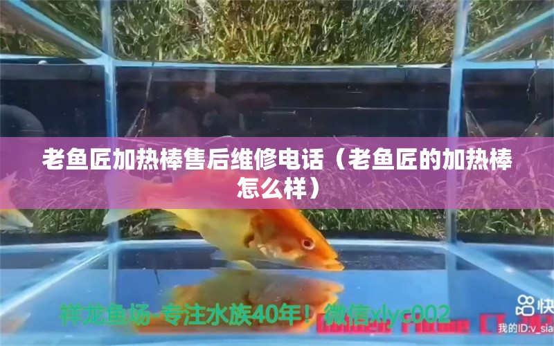 老鱼匠加热棒售后维修电话（老鱼匠的加热棒怎么样）