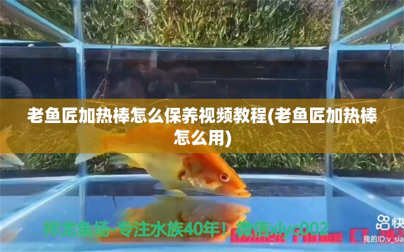 老鱼匠加热棒怎么保养视频教程(老鱼匠加热棒怎么用)