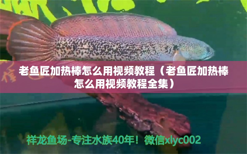 老鱼匠加热棒怎么用视频教程（老鱼匠加热棒怎么用视频教程全集） 老鱼匠