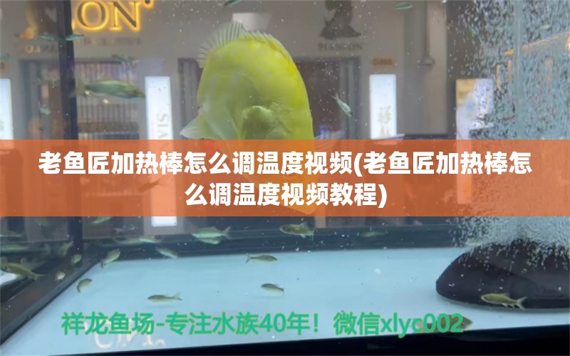 老鱼匠加热棒怎么调温度视频(老鱼匠加热棒怎么调温度视频教程) 老鱼匠 第1张