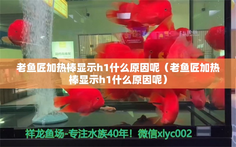 老鱼匠加热棒显示h1什么原因呢（老鱼匠加热棒显示h1什么原因呢）