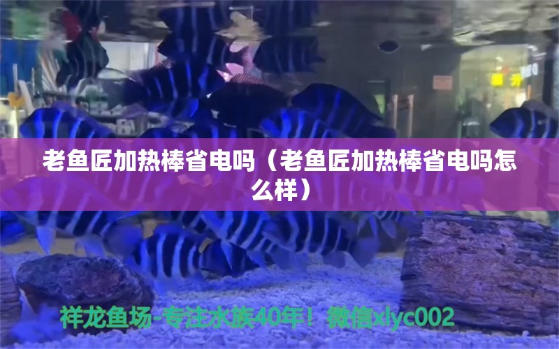 老鱼匠加热棒省电吗（老鱼匠加热棒省电吗怎么样）