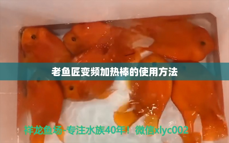 老鱼匠变频加热棒的使用方法 老鱼匠