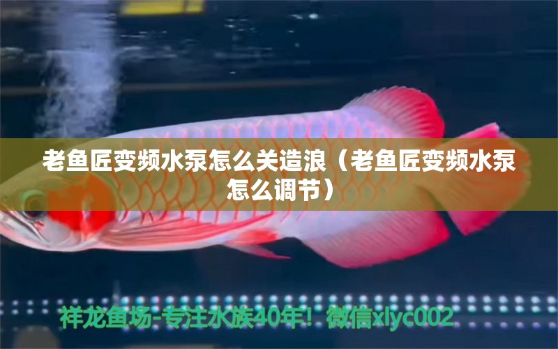 老鱼匠变频水泵怎么关造浪（老鱼匠变频水泵怎么调节）