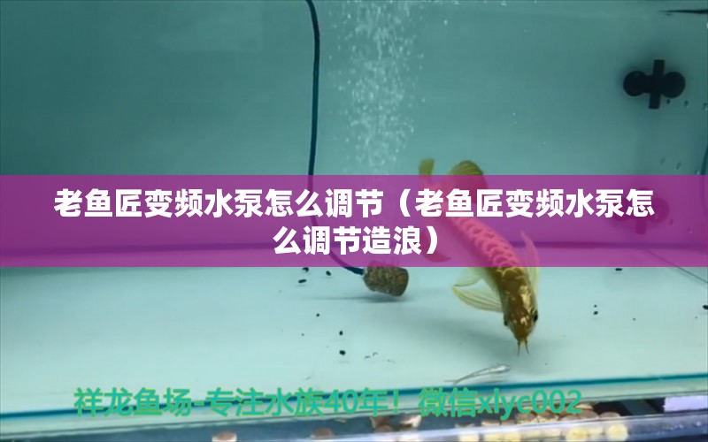 老鱼匠变频水泵怎么调节（老鱼匠变频水泵怎么调节造浪）