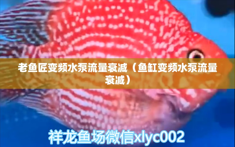 老鱼匠变频水泵流量衰减（鱼缸变频水泵流量衰减） 老鱼匠