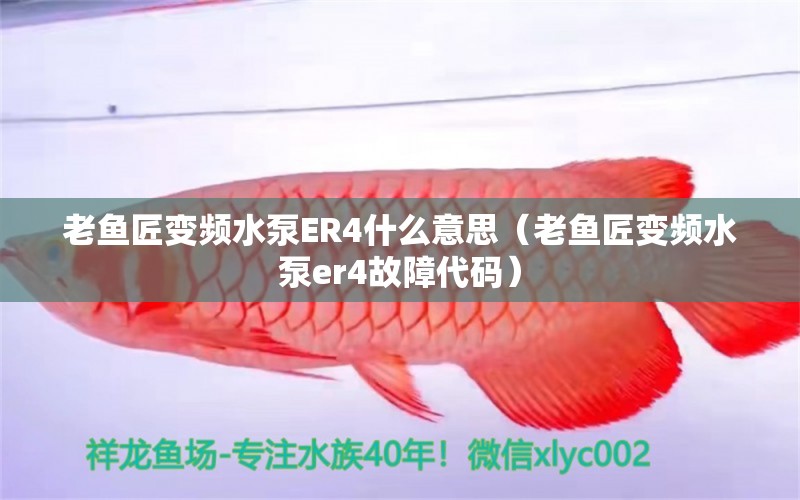 老鱼匠变频水泵ER4什么意思（老鱼匠变频水泵er4故障代码）