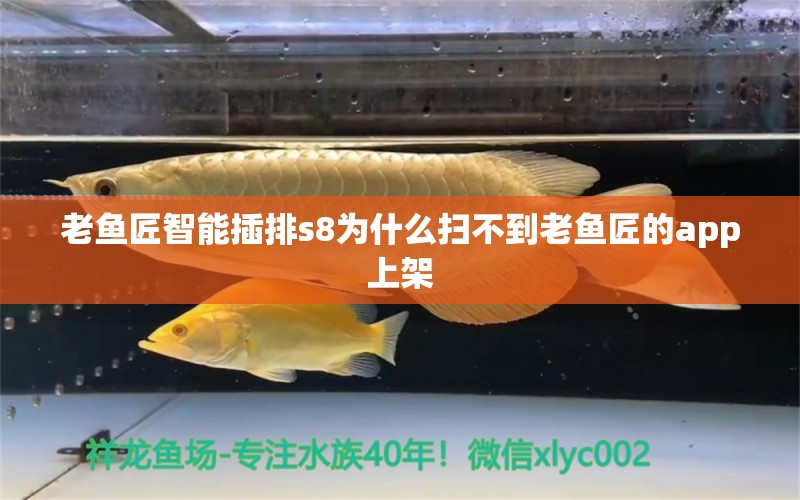 老鱼匠智能插排s8为什么扫不到老鱼匠的app上架 老鱼匠