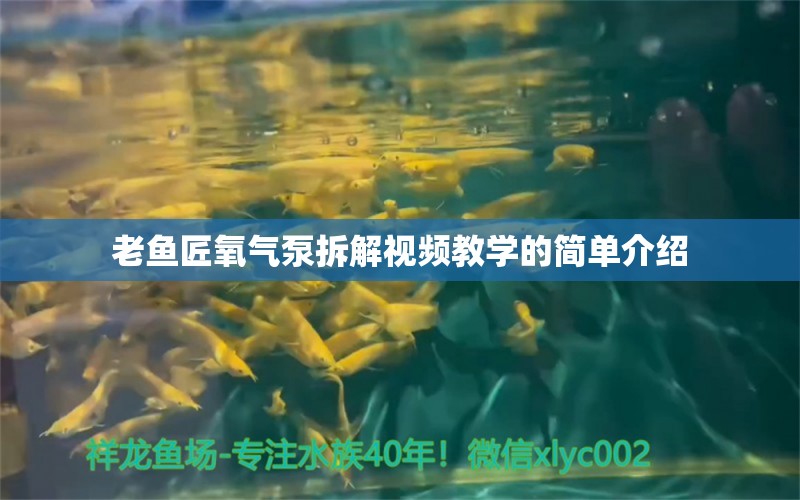 老鱼匠氧气泵拆解视频教学的简单介绍