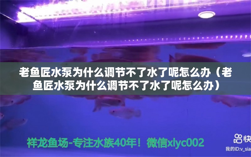 老鱼匠水泵为什么调节不了水了呢怎么办（老鱼匠水泵为什么调节不了水了呢怎么办）