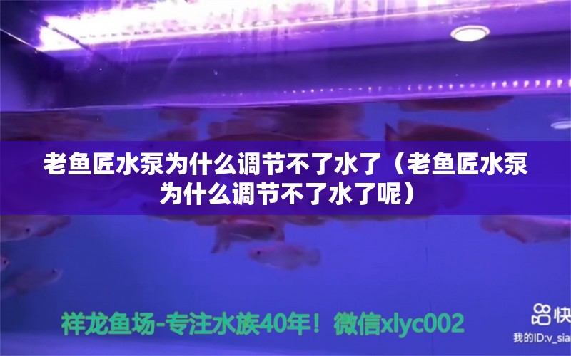 老鱼匠水泵为什么调节不了水了（老鱼匠水泵为什么调节不了水了呢）