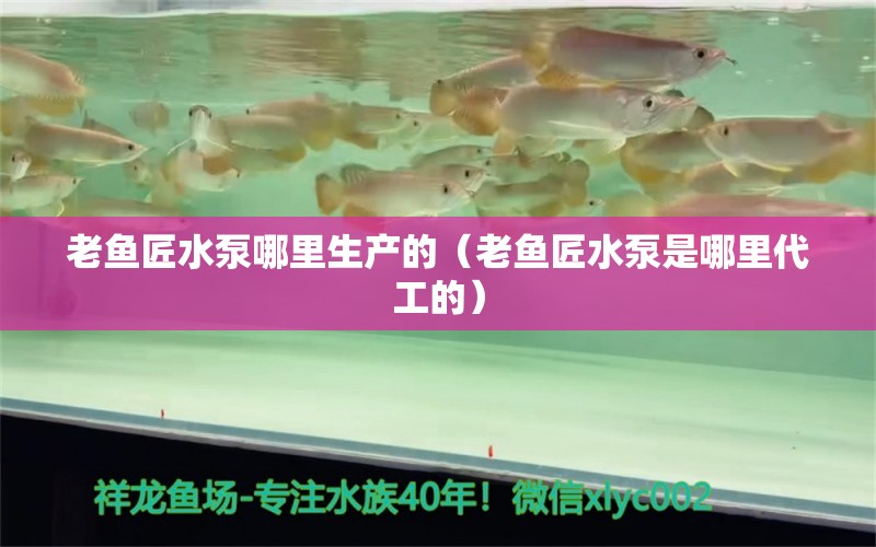 老鱼匠水泵哪里生产的（老鱼匠水泵是哪里代工的） 老鱼匠