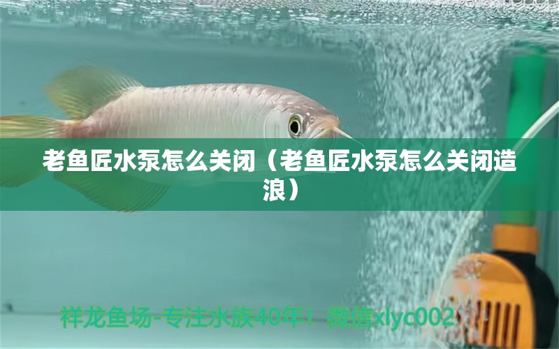 老鱼匠水泵怎么关闭（老鱼匠水泵怎么关闭造浪） 老鱼匠