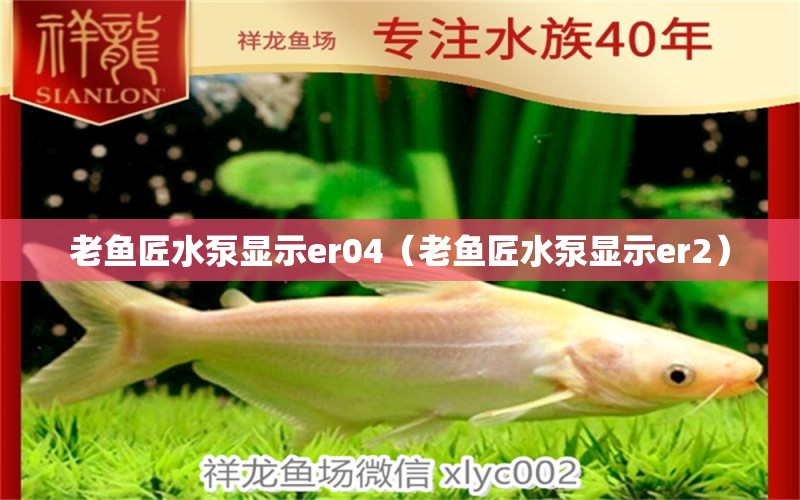 老鱼匠水泵显示er04（老鱼匠水泵显示er2）