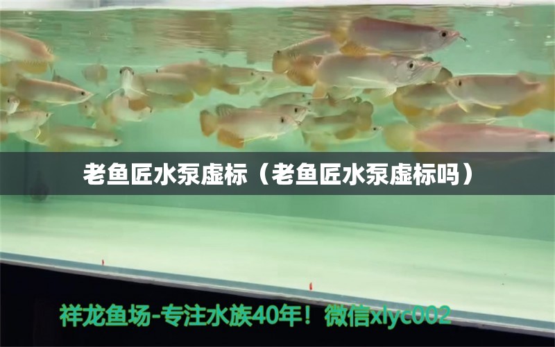 老鱼匠水泵虚标（老鱼匠水泵虚标吗）