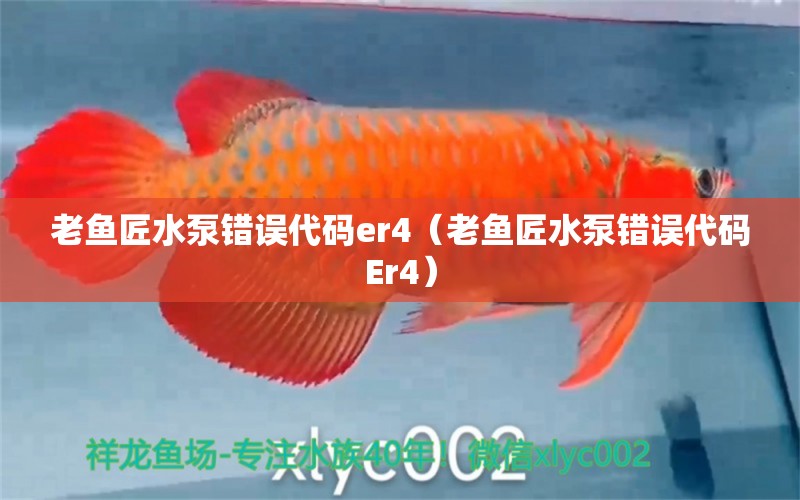 老鱼匠水泵错误代码er4（老鱼匠水泵错误代码Er4）