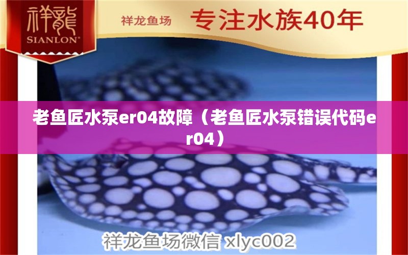 老鱼匠水泵er04故障（老鱼匠水泵错误代码er04） 老鱼匠