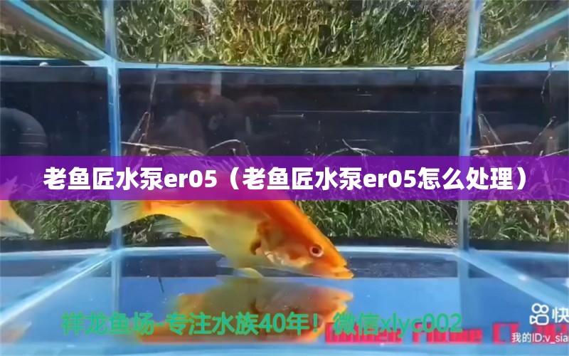 老鱼匠水泵er05（老鱼匠水泵er05怎么处理） 老鱼匠