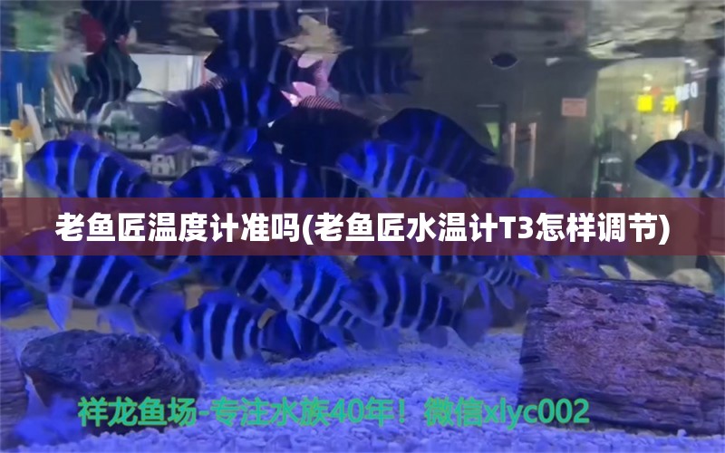 老鱼匠温度计准吗(老鱼匠水温计T3怎样调节) 老鱼匠 第1张