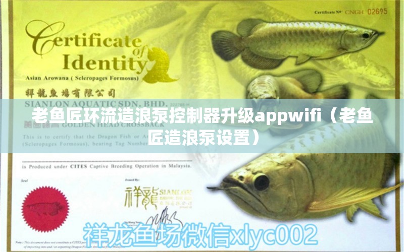 老鱼匠环流造浪泵控制器升级appwifi（老鱼匠造浪泵设置）