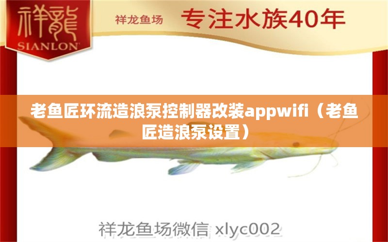 老鱼匠环流造浪泵控制器改装appwifi（老鱼匠造浪泵设置）