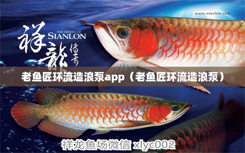 老鱼匠环流造浪泵app（老鱼匠环流造浪泵）