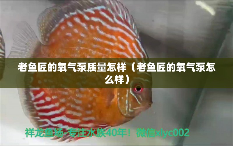 老鱼匠的氧气泵质量怎样（老鱼匠的氧气泵怎么样） 老鱼匠