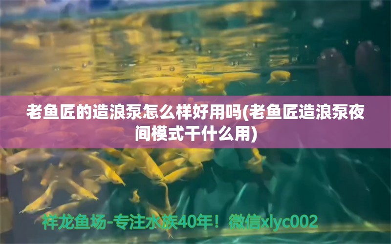 老鱼匠的造浪泵怎么样好用吗(老鱼匠造浪泵夜间模式干什么用) 老鱼匠