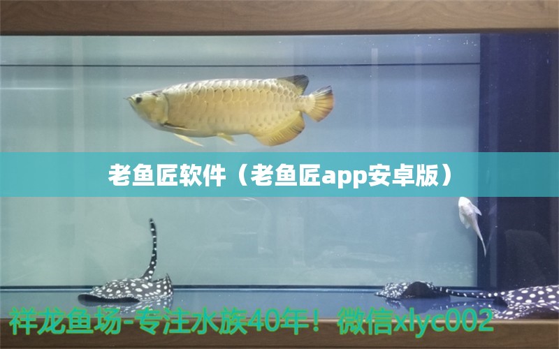 老鱼匠软件（老鱼匠app安卓版）