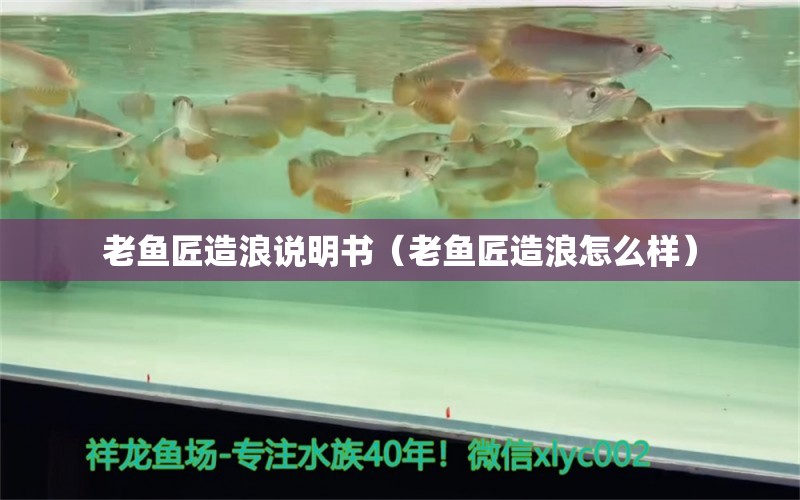 老鱼匠造浪说明书（老鱼匠造浪怎么样）