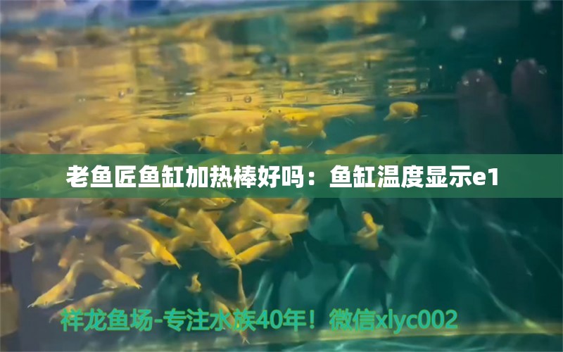 老鱼匠鱼缸加热棒好吗：鱼缸温度显示e1 老鱼匠 第3张