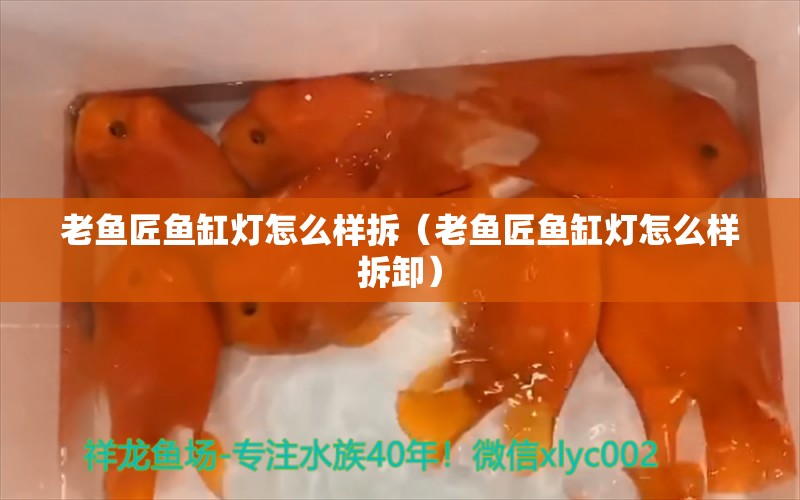 老鱼匠鱼缸灯怎么样拆（老鱼匠鱼缸灯怎么样拆卸） 老鱼匠