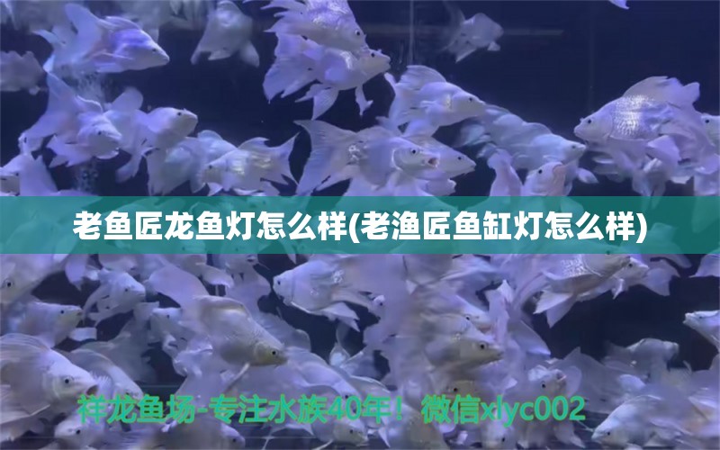 老鱼匠龙鱼灯怎么样(老渔匠鱼缸灯怎么样)