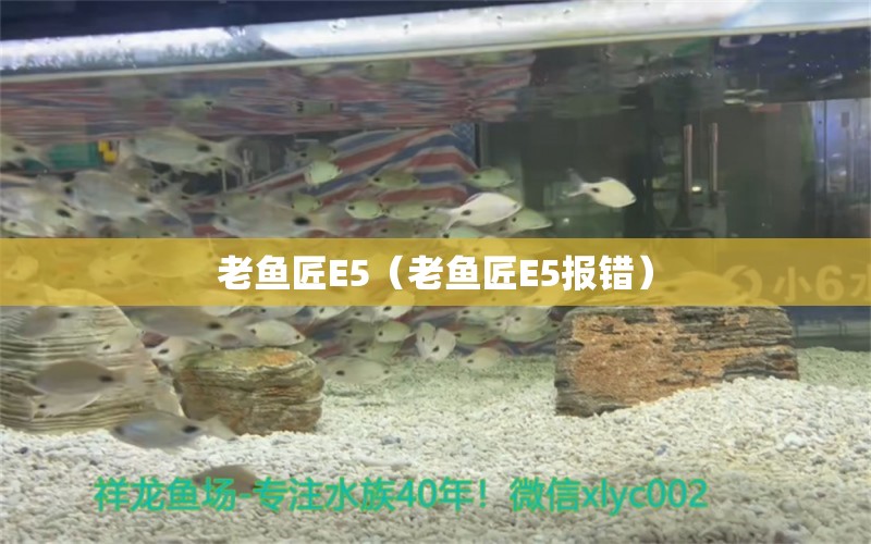 老鱼匠E5（老鱼匠E5报错）