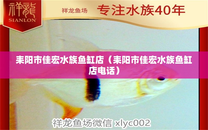 耒阳市佳宏水族鱼缸店（耒阳市佳宏水族鱼缸店电话） 全国水族馆企业名录