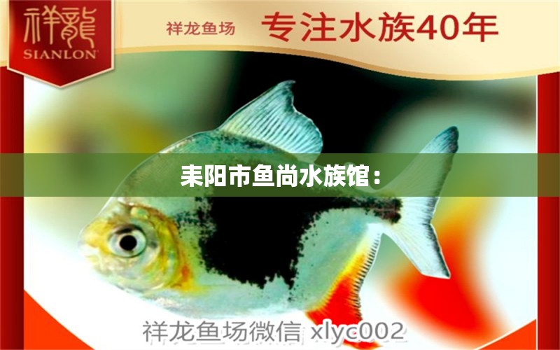 耒阳市鱼尚水族馆：