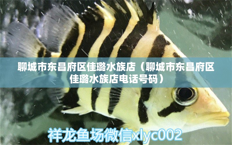 聊城市东昌府区佳璐水族店（聊城市东昌府区佳璐水族店电话号码） 全国水族馆企业名录