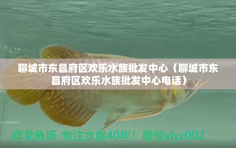 聊城市东昌府区欢乐水族批发中心（聊城市东昌府区欢乐水族批发中心电话）