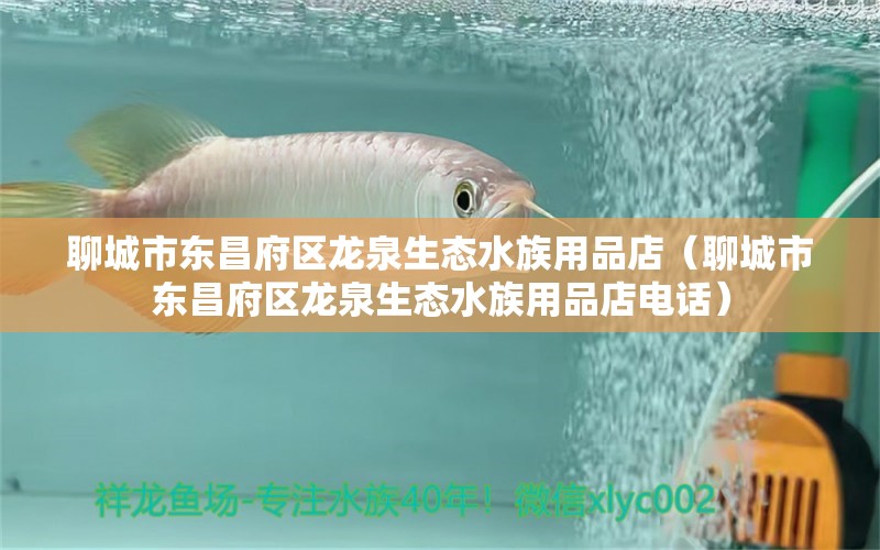 聊城市东昌府区龙泉生态水族用品店（聊城市东昌府区龙泉生态水族用品店电话）