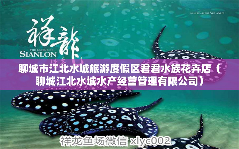 聊城市江北水城旅游度假区君君水族花卉店（聊城江北水城水产经营管理有限公司） 全国水族馆企业名录