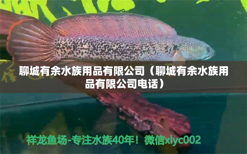 聊城有余水族用品有限公司（聊城有余水族用品有限公司电话）