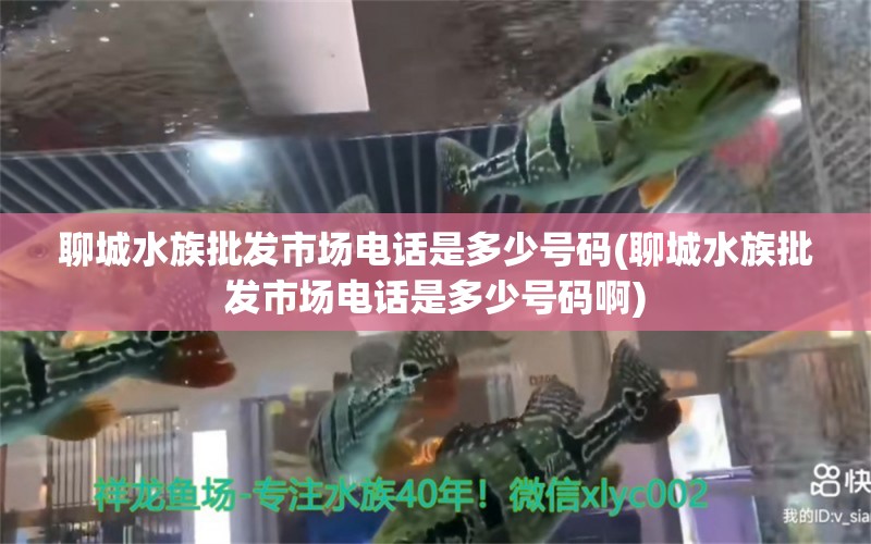 聊城水族批发市场电话是多少号码(聊城水族批发市场电话是多少号码啊) 海象鱼