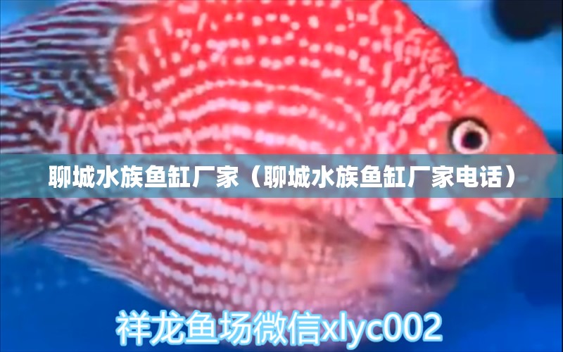 聊城水族鱼缸厂家（聊城水族鱼缸厂家电话） 其他品牌鱼缸