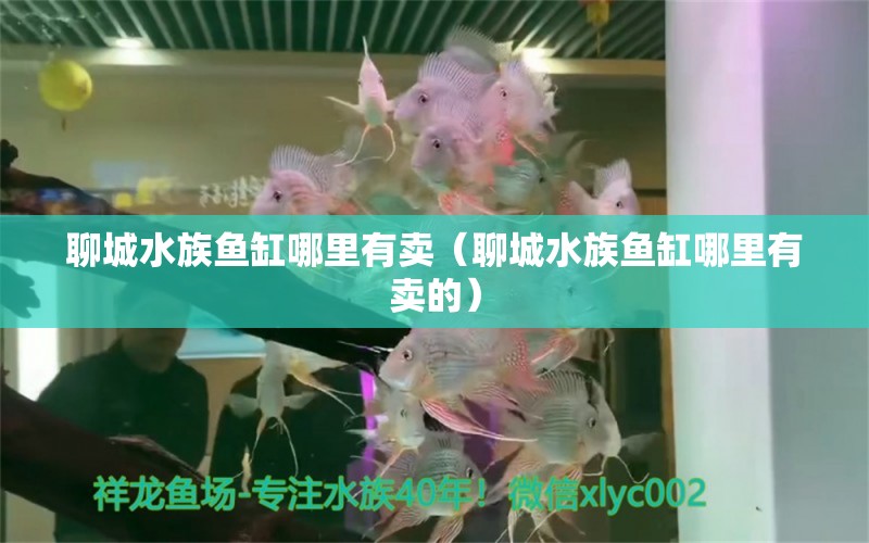 聊城水族鱼缸哪里有卖（聊城水族鱼缸哪里有卖的） 其他品牌鱼缸