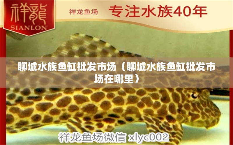 聊城水族鱼缸批发市场（聊城水族鱼缸批发市场在哪里） 其他品牌鱼缸